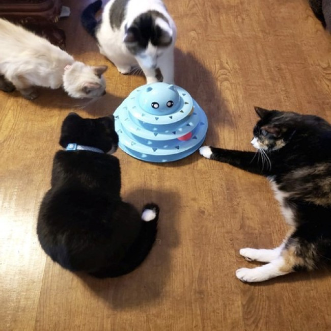 Іграшка для котів інтерактивна вежа з кульками Purlov 21837 Польща