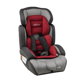 Автокресло JOY 9-36 кг Grey/Red (47900)