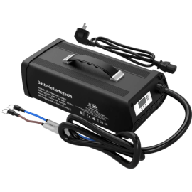 Зарядний пристрій для LiFePo4 акумуляторів 40A 14,6V LiTime (Німеччина)