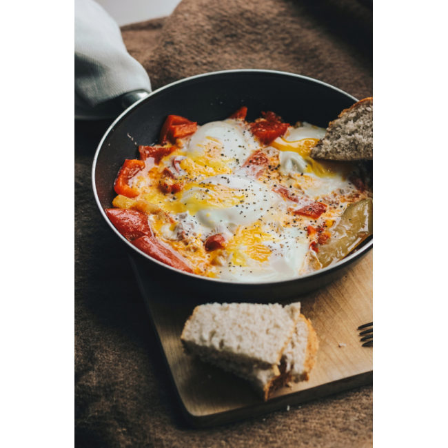 Индукционная плита Esperanza VESUVIUS EKH006 (Польша)