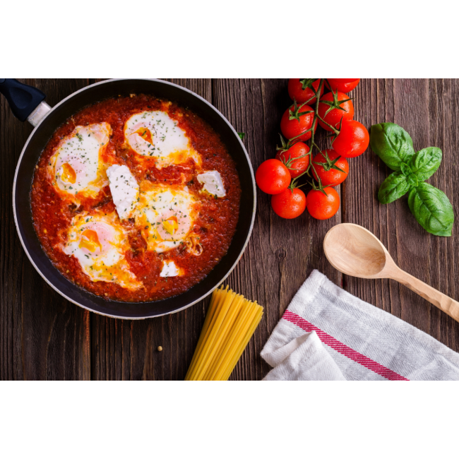 Индукционная плита Esperanza VESUVIUS EKH006 (Польша)