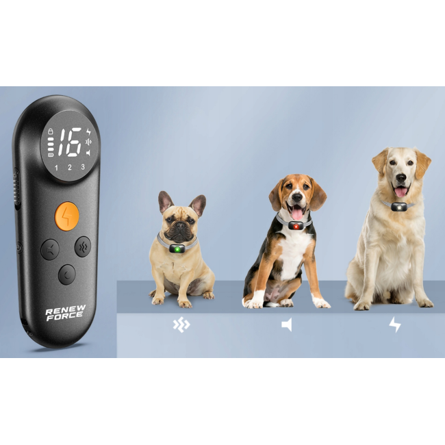 Електроошийник для тренування собак RENEW FORCE 1000м + пульт дистанційного керування (Польща)