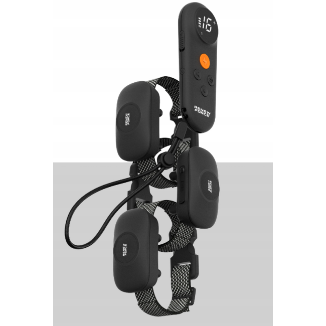 Електроошийник для тренування собак RENEW FORCE 1000м + пульт дистанційного керування (Польща)