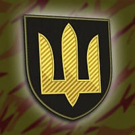 Шеврон SteelCats 