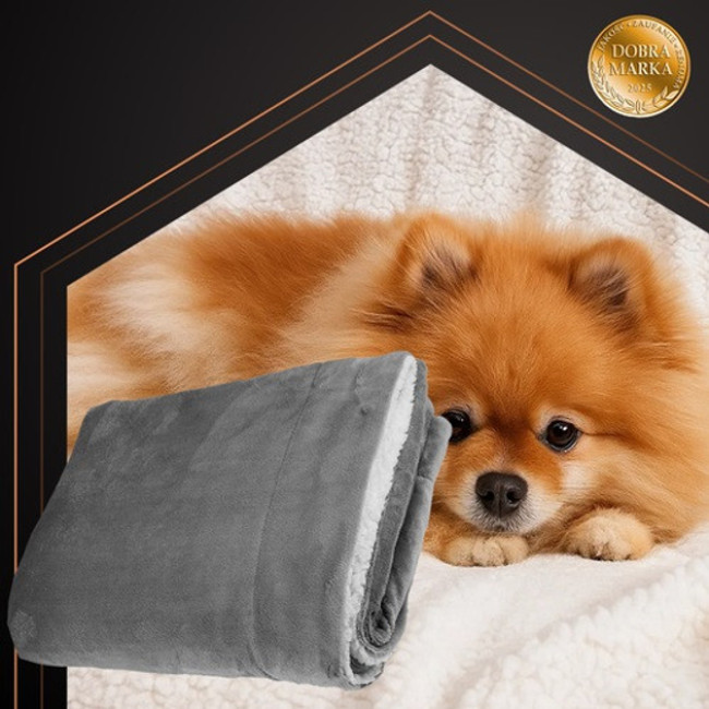 Щільний двосторонній плед-покривало Ruhhy двоспальний 150 х 200 см Сірий