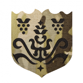 Шеврон Camotec Герб 