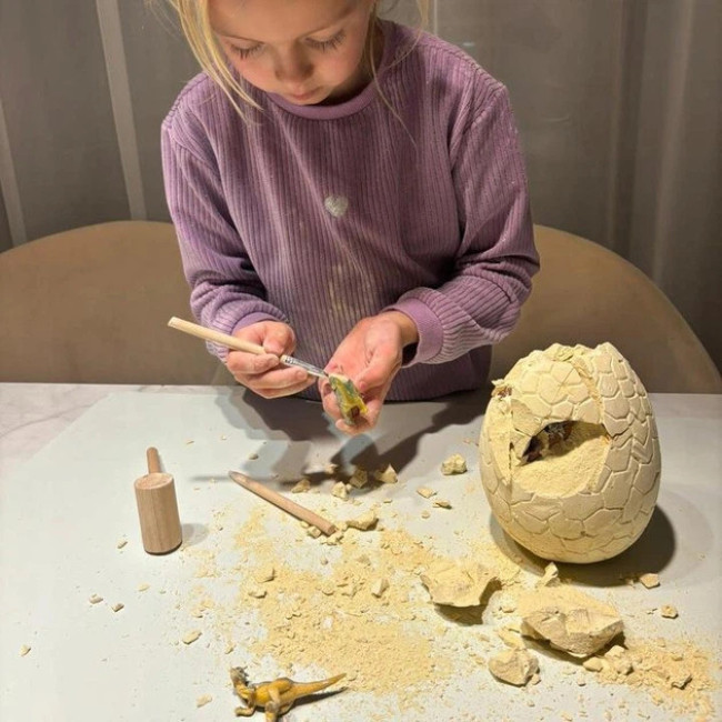 Игровой набор Археологические раскопки яйцо динозавра Kruzzel 24981