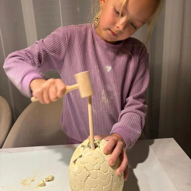 Игровой набор Археологические раскопки яйцо динозавра Kruzzel 24981/n