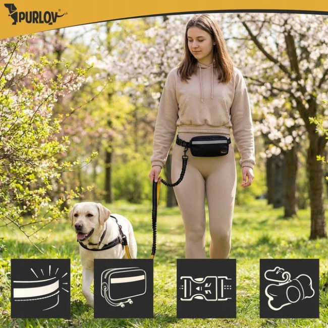 Поясной ремень с поводком для бега с собакой до 50 кг Purlov 2-в-1 амортизированный, светоотражающий (24689)