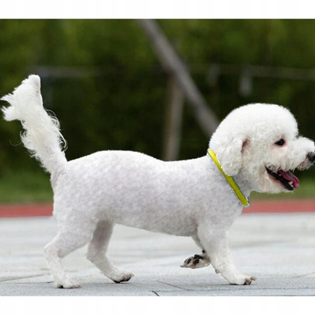 Ошейник для собак светодиодный Purlov аккумуляторный Желтый (24200)