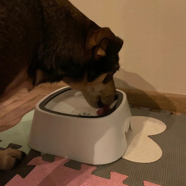 Миска для воды непроливайка для кошек и собак Purlov 1500 мл + туристическая складная миска 350 мл (24342)