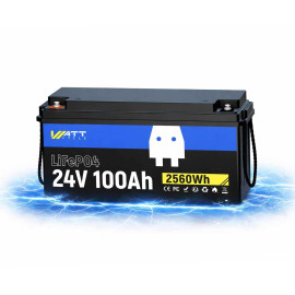 Літій-залізо-фосфатний акумулятор WattCycle LiFePO4 24V 100Ah батарея з BMS 100А IP65