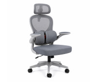 Офисное кресло Hanert Comfort Pro