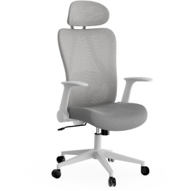 Офісне крісло SENSE7 Noxo White/Grey