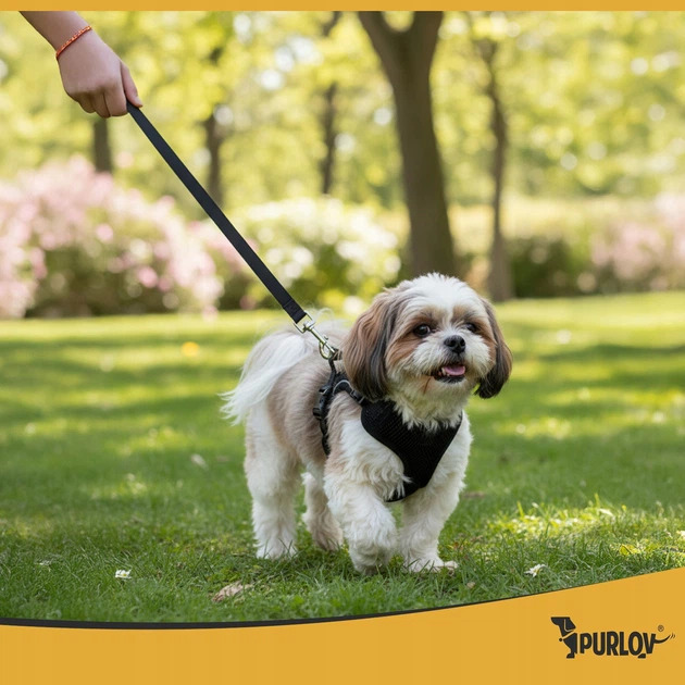 Шлейка для средних пород собак и кошек без давления с поводком Purlov размер M светоотражающая, регулируемая (26870)